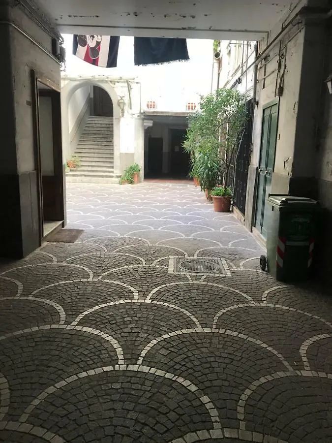 Home Marty Naples